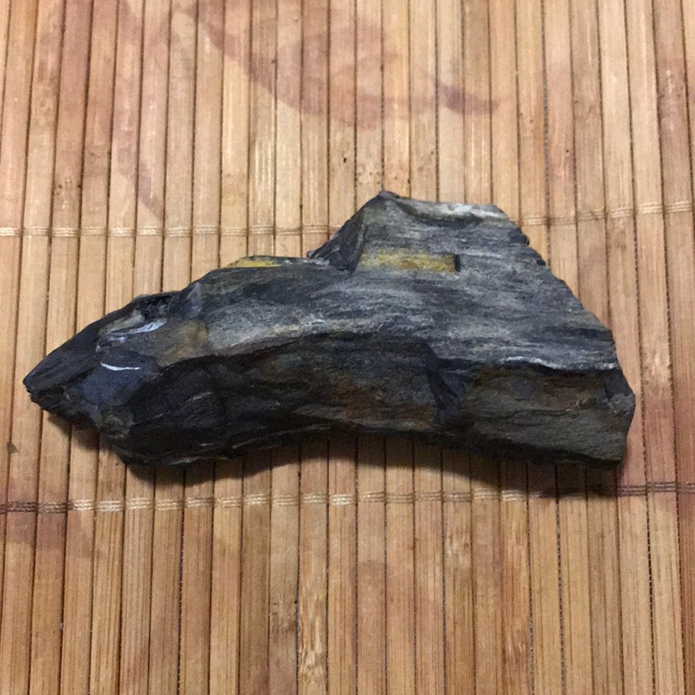 Petrified Wood  Natural Healing Stone